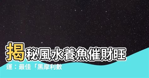 黑摩利數目|【黑摩利數目】揭秘招財化煞秘訣：養幾條黑摩利，讓你財運亨。